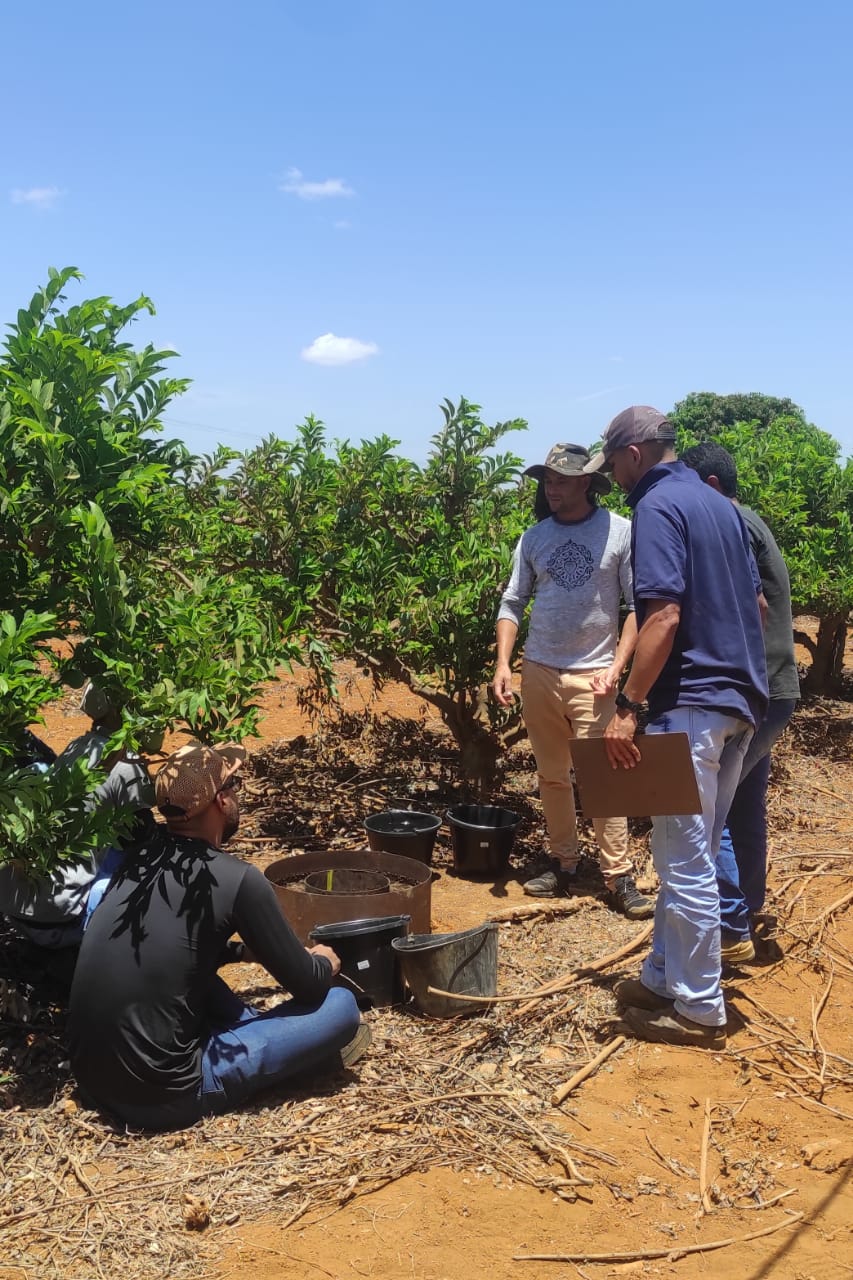 Curso De Capacita O Para O Manejo Da Irriga O Promovido Pelo Cbhsf