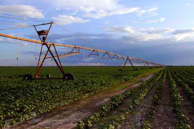 Estudo aponta crescimento no uso de pivôs para irrigação - CBHSF : CBHSF –  Comitê da Bacia Hidrográfica do Rio São Francisco