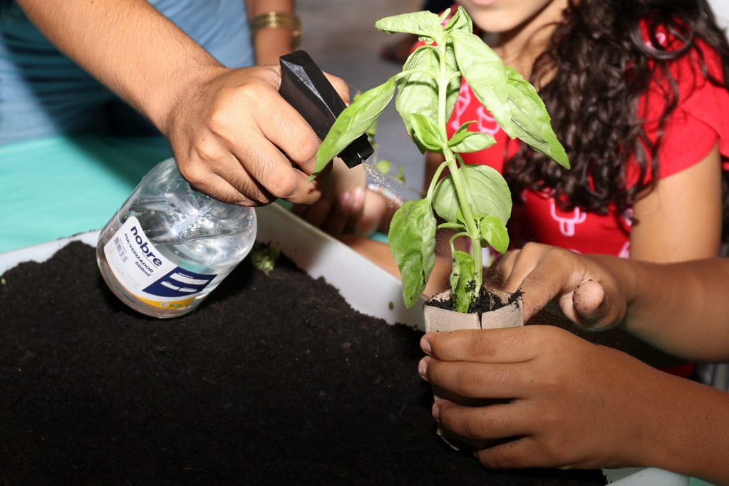 A implantação do Programa de Educação Ambiental da Bacia